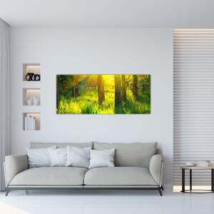 Kép - Az erdő tavaszi ébredése (120x50 cm)