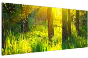 Kép - Az erdő tavaszi ébredése (120x50 cm)