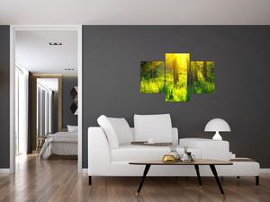 Kép - Az erdő tavaszi ébredése (90x60 cm)