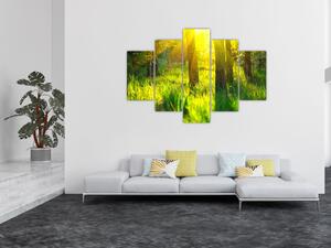 Kép - Az erdő tavaszi ébredése (150x105 cm)
