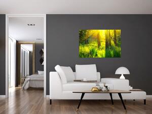 Kép - Az erdő tavaszi ébredése (90x60 cm)