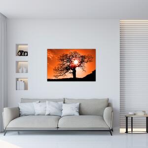Kép - Tölgy napnyugtakor (90x60 cm)