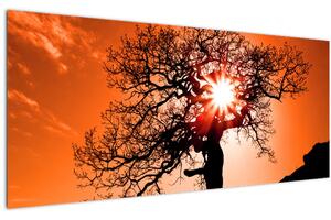 Kép - Tölgy napnyugtakor (120x50 cm)