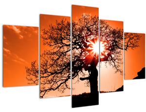 Kép - Tölgy napnyugtakor (150x105 cm)