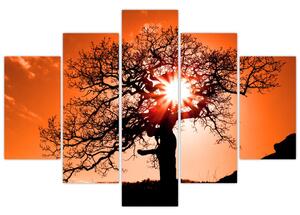 Kép - Tölgy napnyugtakor (150x105 cm)