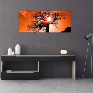 Kép - Tölgy napnyugtakor (120x50 cm)