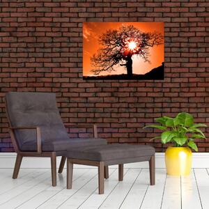 Kép - Tölgy napnyugtakor (70x50 cm)