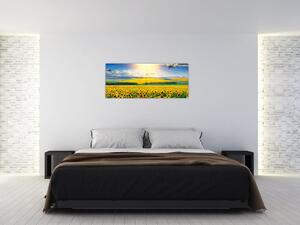 Kép - Napraforgó mező (120x50 cm)