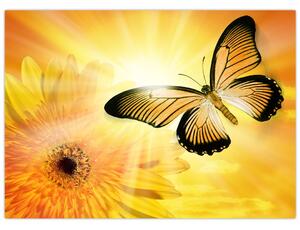 Kép - Sárga pillangó virággal (üvegen) (70x50 cm)