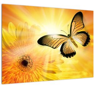Kép - Sárga pillangó virággal (üvegen) (70x50 cm)
