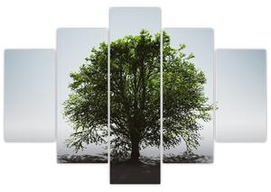 Kép - Magányos fa (150x105 cm)