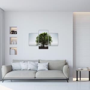 Kép - Magányos fa (90x60 cm)