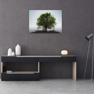 Kép - Magányos fa (70x50 cm)