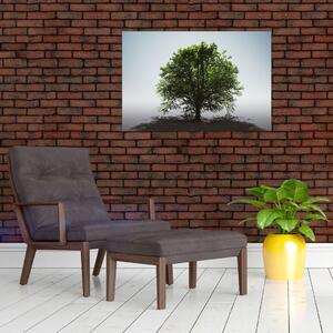 Kép - Magányos fa (90x60 cm)