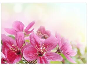 Kép - Rózsaszín virágok (70x50 cm)