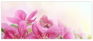 Kép - Rózsaszín virágok (120x50 cm)
