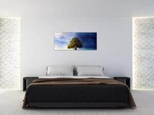 Kép - Éjjel - nappal (120x50 cm)