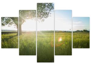 Egy fa képe a mezőn (150x105 cm)