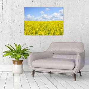 Egy sárga mező képe (70x50 cm)