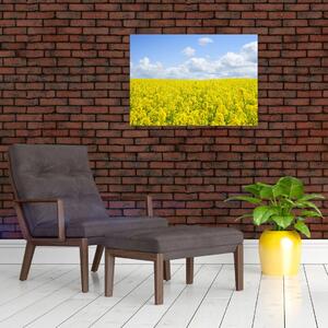 Egy sárga mező képe (70x50 cm)