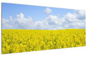 Egy sárga mező képe (120x50 cm)