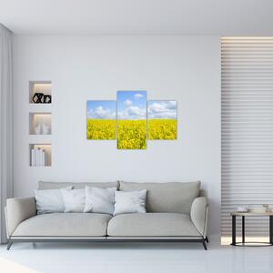 Egy sárga mező képe (90x60 cm)