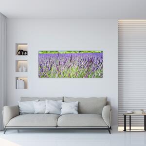 Egy mező képe a levendulával (120x50 cm)