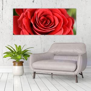 Egy rózsa virág képe (120x50 cm)