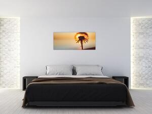 Egy pitypang képe naplementekor (120x50 cm)
