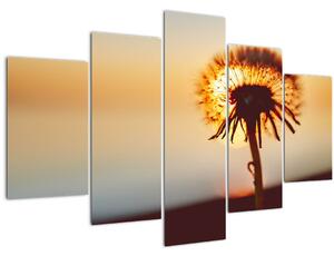 Egy pitypang képe naplementekor (150x105 cm)