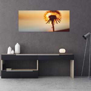 Egy pitypang képe naplementekor (120x50 cm)