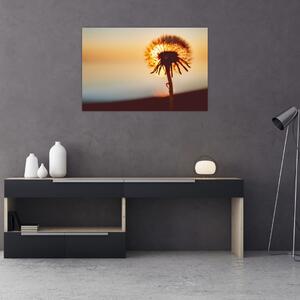 Egy pitypang képe naplementekor (90x60 cm)