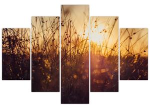A mező képe naplementekor (150x105 cm)
