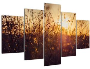 A mező képe naplementekor (150x105 cm)