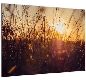 A mező képe naplementekor (70x50 cm)