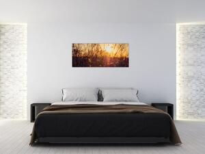 A mező képe naplementekor (120x50 cm)