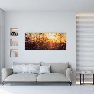 A mező képe naplementekor (120x50 cm)