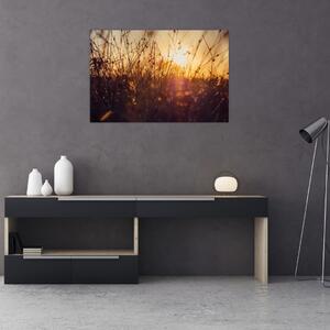 A mező képe naplementekor (90x60 cm)