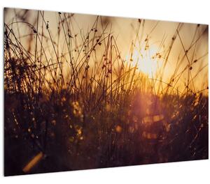 A mező képe naplementekor (90x60 cm)