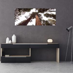 Kép - Kilátás a fák között (120x50 cm)