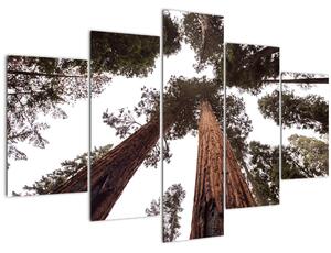 Kép - Kilátás a fák között (150x105 cm)