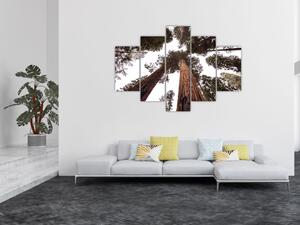 Kép - Kilátás a fák között (150x105 cm)