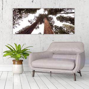 Kép - Kilátás a fák között (120x50 cm)