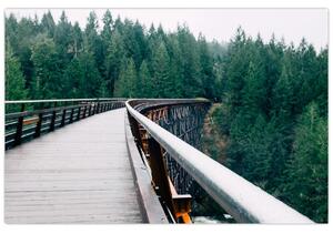Kép - Híd a fák csúcsán (90x60 cm)