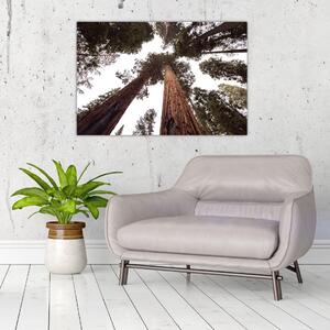 Kép - Kilátás a fák között (90x60 cm)