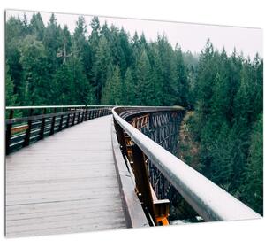 Kép - Híd a fák csúcsán (70x50 cm)