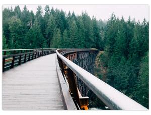 Kép - Híd a fák csúcsán (70x50 cm)