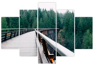 Kép - Híd a fák csúcsán (150x105 cm)