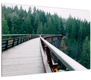 Kép - Híd a fák csúcsán (90x60 cm)
