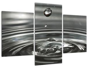 Egy vízcsepp képe (90x60 cm)